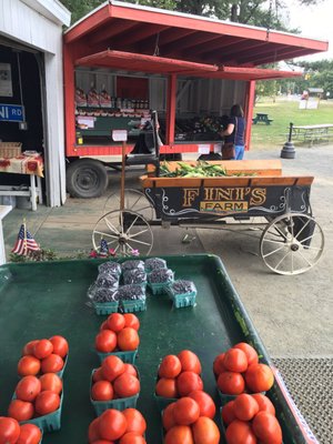 Some produce they grew.