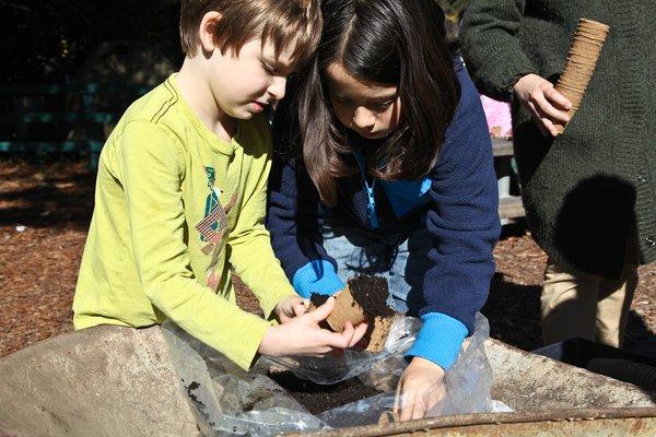 Working as part of the Pollinator Posse at Fairyland.