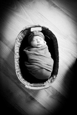 Newborn portraits are some of the most valued