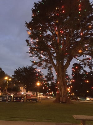 Happy Holidays! The traditional lighted tree in front of the sf park and rec building.