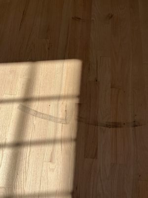 Upper bedroom that was just sanded yesterday. Now it has black marks from a chair.