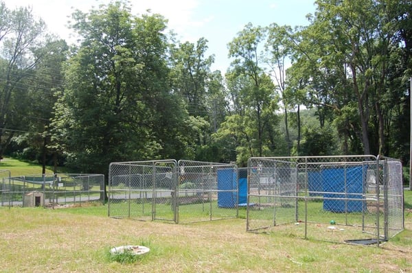 Outdoor SPACEY kennels for dogs so they can get a break from the indoor kennels and enjoy the sunshine!