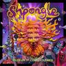 Photo of Shpongle D.