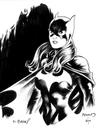 Photo of Batgirl R.