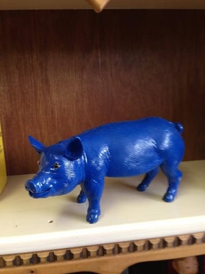 Photo of Blue Pig Store A.