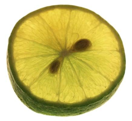 photo of Keylime S.