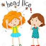 Photo of Natural Lice Remedies C.