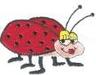 Photo of Ladybug C.