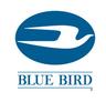 Photo of Blue Bird B.