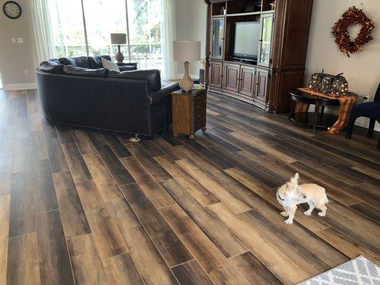 Cortec Vinyl Planks