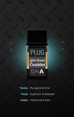 PlugDNA