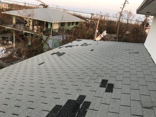 Shingle Damage