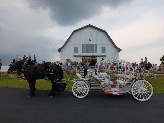 Horse drawn Cinderella Carriage waiting for the princess bride.