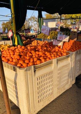 Great prices and the fruit was delicious!