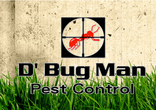 D'Bug Man Pest Control