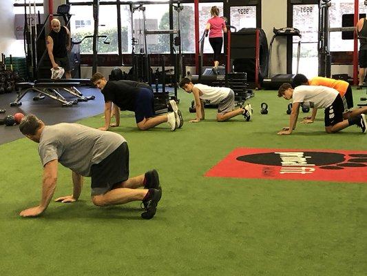 Teaching Animal Flow to youth athletes