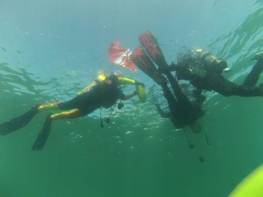 Drift Dive Pompano