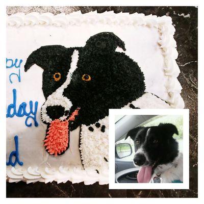 Hand drawn dog cake