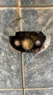 Shower cartridge repair