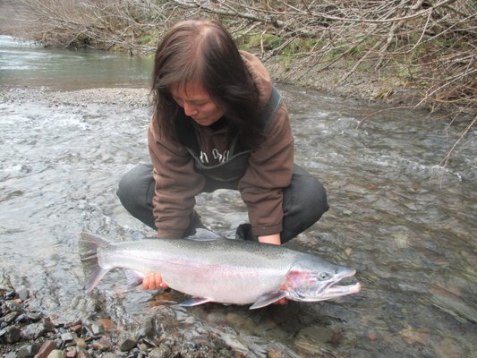 A Big Elk River Steelhead