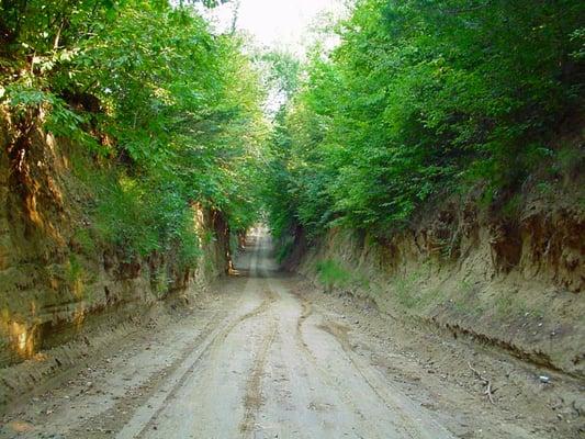 Loess Hills Sophie's Hollow