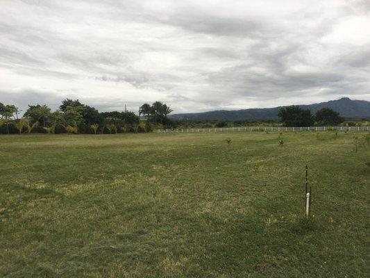 Poipu Aina Estates 3 acre mowing job