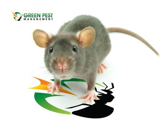 Rodent and Green Pest Management's logo.