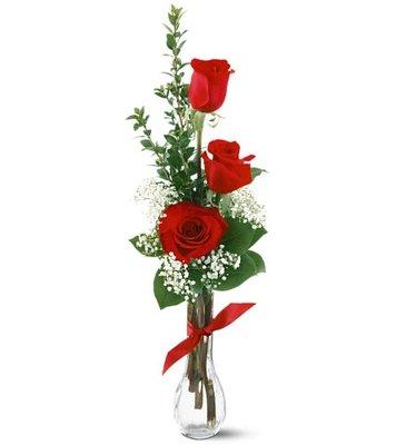 $15 - 3 Red Freedom Roses