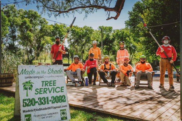 Your local tree experts.

LET'S TALK TREES TUCSON !