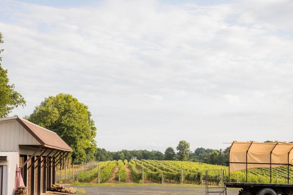 Outdoor Vineyard Space - photo by Mike Wake Photos