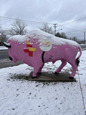 Pink Buffalo outside restaurant