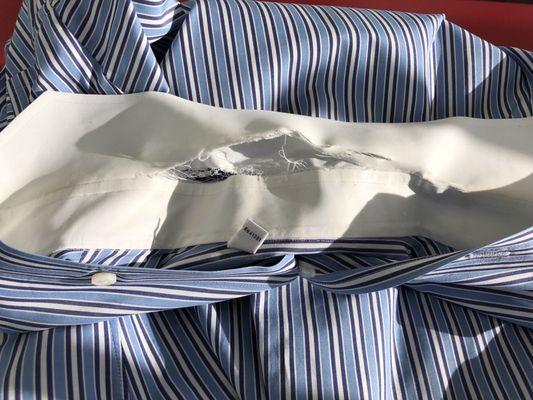 Peaches totally ruined this dress shirt!  I've never seen a collar shredded like this!