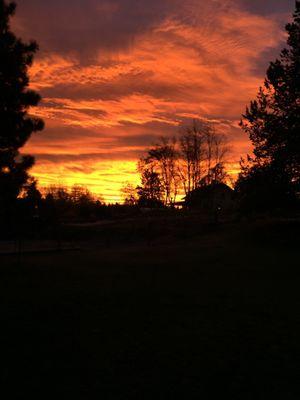 Central Oregon Sunset