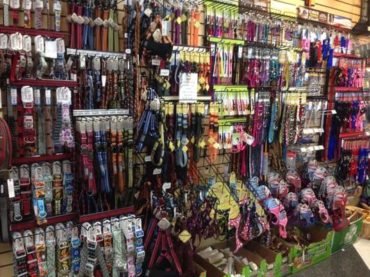 Large selection of leashes and collars