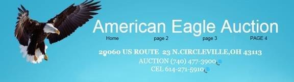 American Eagle Auction Company