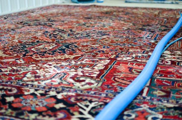 We have training to clean fine rugs.  3-4 week turn around.