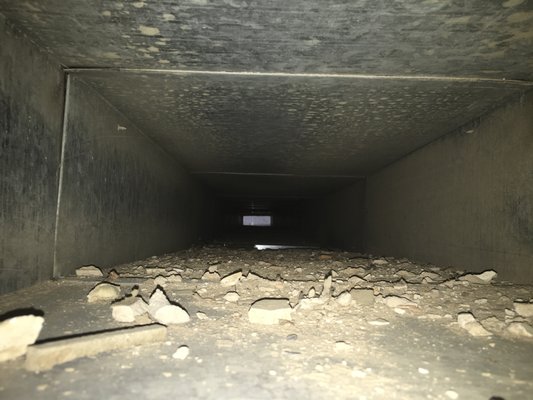 Our customers often think they have clean air, only to find THIS when we video scan the duct. Don't suffer any longer!