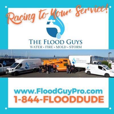 The Flood Guys - Lake Stevens