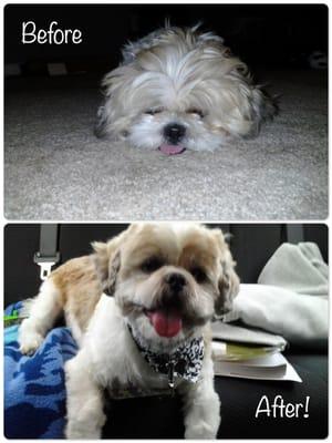 Mojo before & after. Thanks, Jennifer :)