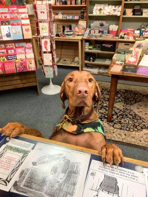 Always dog friendly and offer free treats .... no begging necessary!