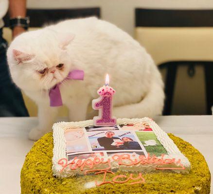 Icy's birthday