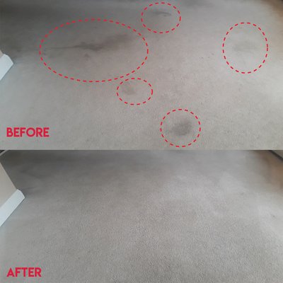 We can get out those hard to get stains! #drycarpetcleaning #leosdrycarpetcleaning