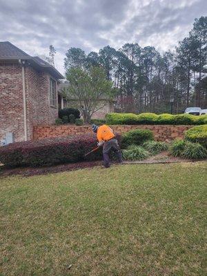 Williams Lawns & Tree Services