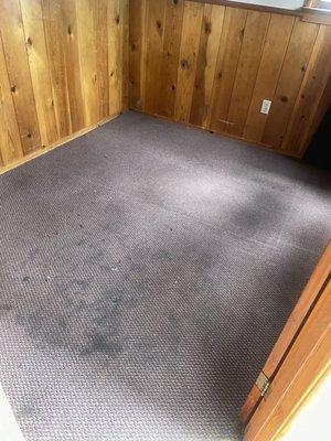 Disgusting carpet in second bedroom