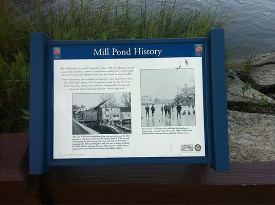 Mill Pond History