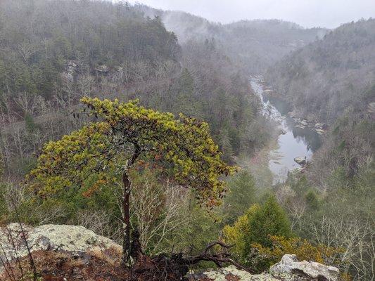 Overlook of the river