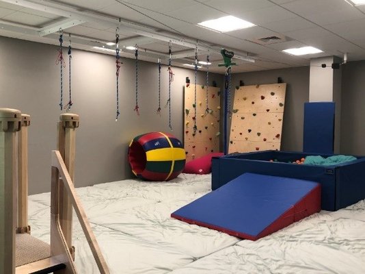 One of our Occupational Therapy gyms!