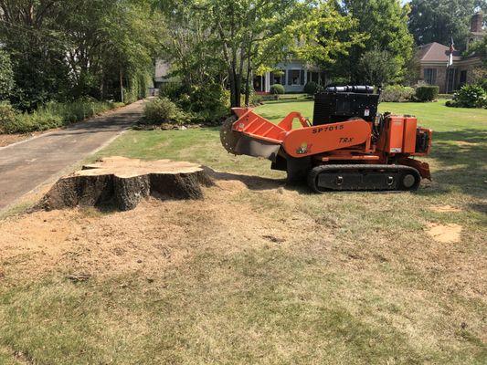 Stump Grinder in Prattville, AL