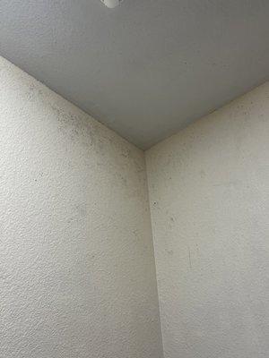 Mold on the wall in the shower area