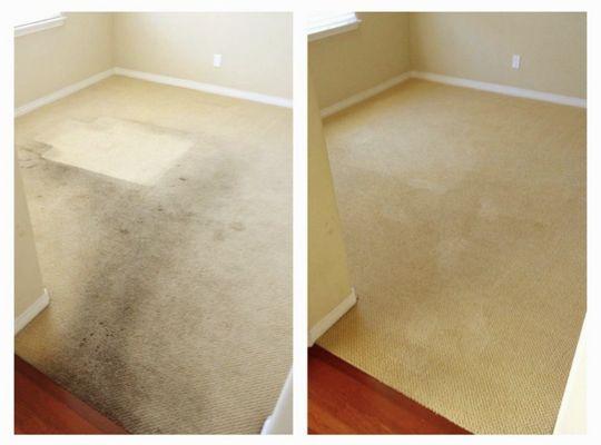 Even the dirtiest carpets can be revived!